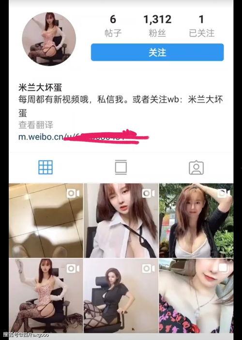 网友小艺爆料视频下载,视频下载背后的秘密大揭秘